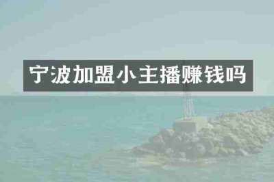 宁波加盟小主播赚钱吗