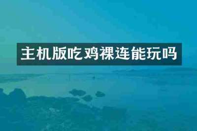 主机版吃鸡裸连能玩吗
