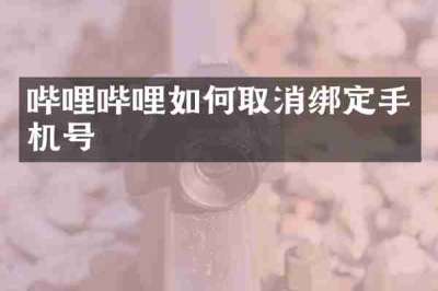 哔哩哔哩如何取消绑定手机号