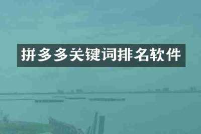 拼多多关键词排名软件