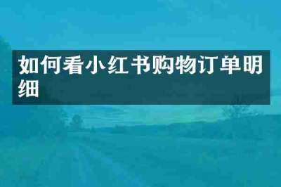 如何看小红书购物订单明细