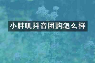 小胖叽抖音团购怎么样