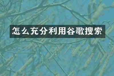 怎么充分利用谷歌搜索