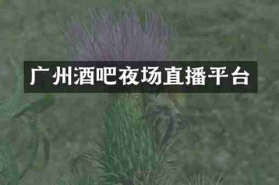 广州酒吧夜场直播平台