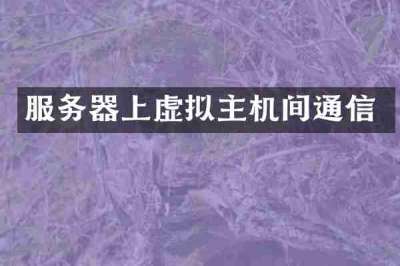 服务器上虚拟主机间通信