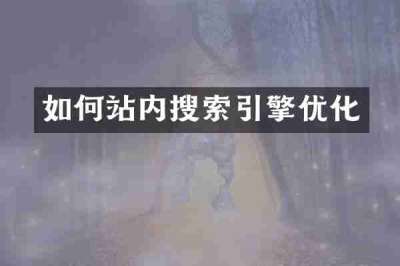如何站内搜索引擎优化