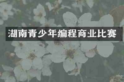 湖南青少年编程商业比赛