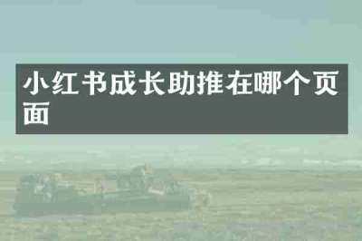 小红书成长助推在哪个页面