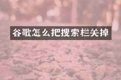 谷歌怎么把搜索栏关掉