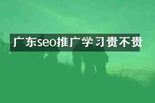 广东seo推广学习贵不贵
