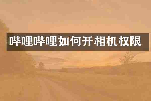 哔哩哔哩如何开相机权限