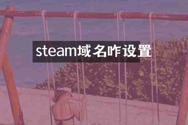 steam域名咋设置