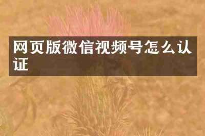 网页版微信视频号怎么认证