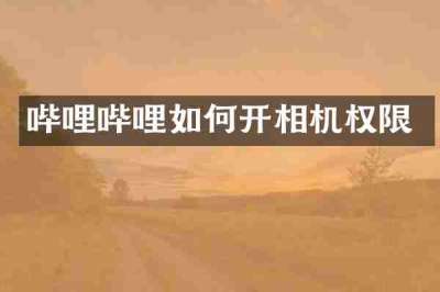 哔哩哔哩如何开相机权限