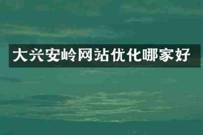 大兴安岭网站优化哪家好