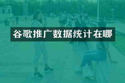 谷歌推广数据统计在哪