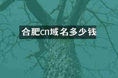 合肥cn域名多少钱