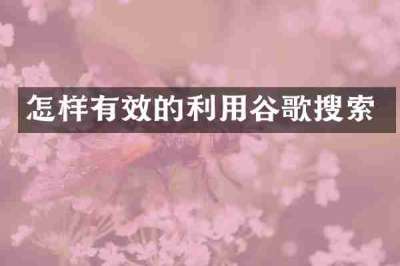 怎样有效的利用谷歌搜索
