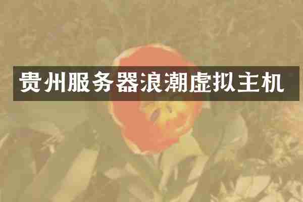 贵州服务器浪潮虚拟主机