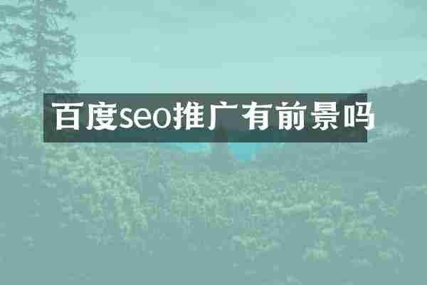 百度seo推广有前景吗