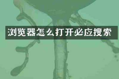 浏览器怎么打开必应搜索