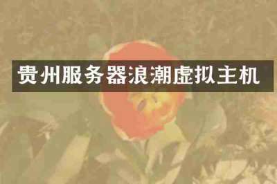 贵州服务器浪潮虚拟主机