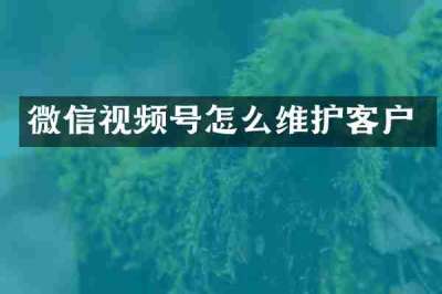 微信视频号怎么维护客户