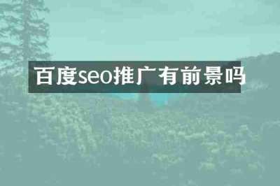 百度seo推广有前景吗