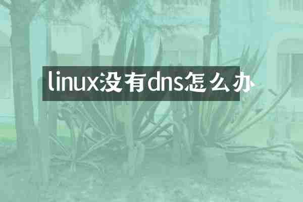 linux没有dns怎么办