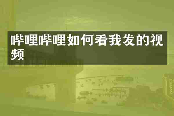 哔哩哔哩如何看我发的视频