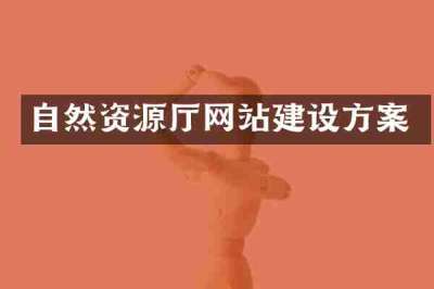 自然资源厅网站建设方案