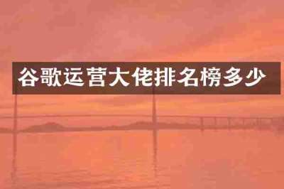 谷歌运营大佬排名榜多少