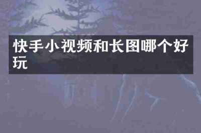 快手小视频和长图哪个好玩