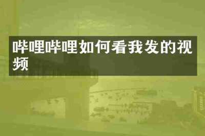 哔哩哔哩如何看我发的视频