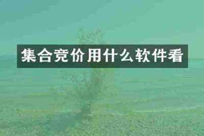 集合竞价用什么软件看
