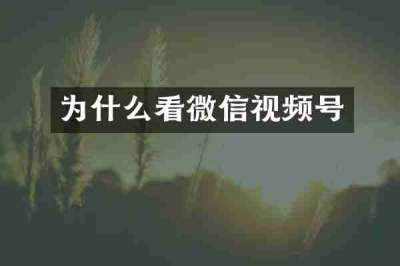 为什么看微信视频号
