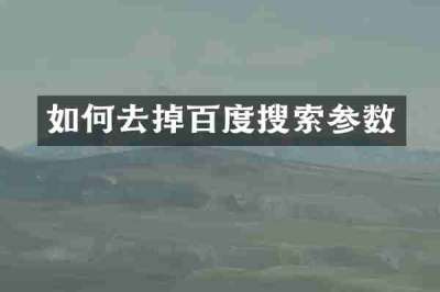 如何去掉百度搜索参数