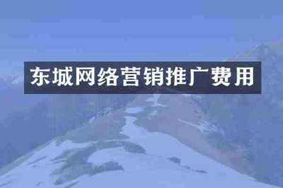 东城网络营销推广费用