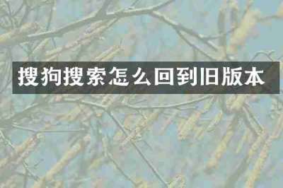 搜狗搜索怎么回到旧版本