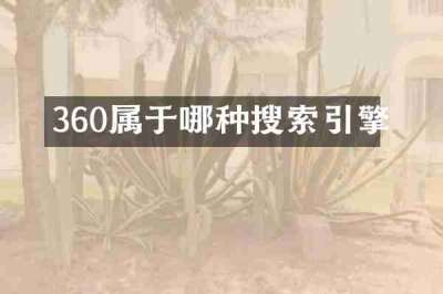360属于哪种搜索引擎