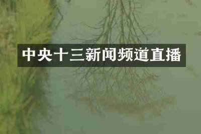 中央十三新闻频道直播