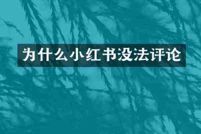 为什么小红书没法评论