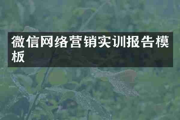 微信网络营销实训报告模板