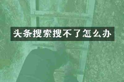 头条搜索搜不了怎么办