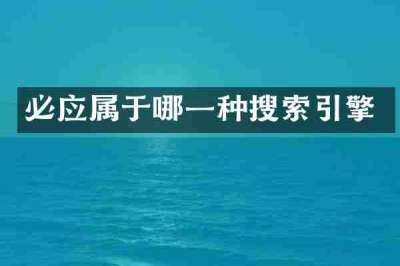 必应属于哪一种搜索引擎