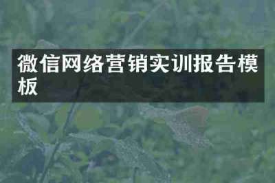 微信网络营销实训报告模板