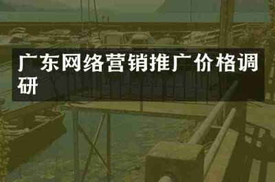 广东网络营销推广价格调研