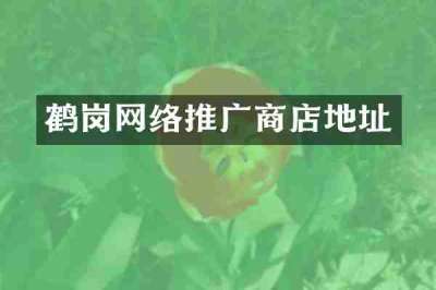 鹤岗网络推广商店地址