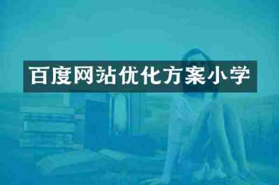百度网站优化方案小学