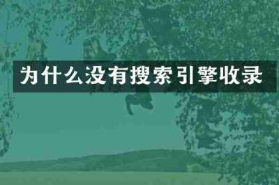 为什么没有搜索引擎收录